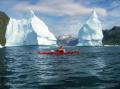Thumbnail for article : Greenland: Close Encounters of a Whale Kind
