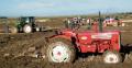 Thumbnail for article : North & West Caithness Ploughing Association 23rd Ploughing Match