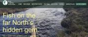 Thumbnail for article : Wick Angling Association - Fishing In Caithness - Angling Is Back Soon