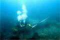 Thumbnail for article : Want to try SCUBA diving?